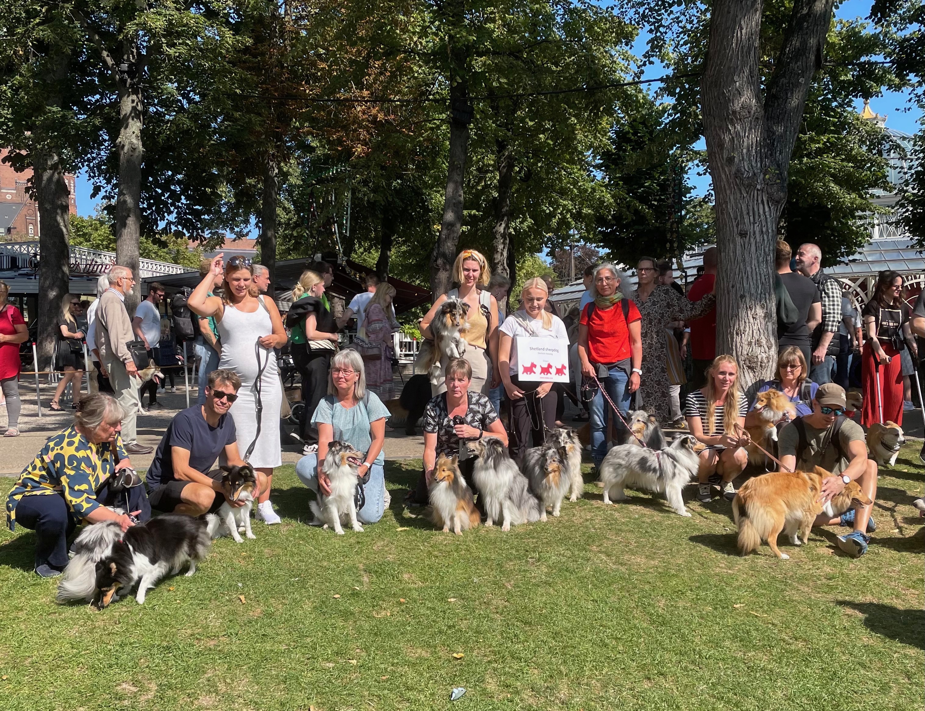 offentlig Sodavand uformel Hundens dag i Tivoli – Kennel Elverlamshuset